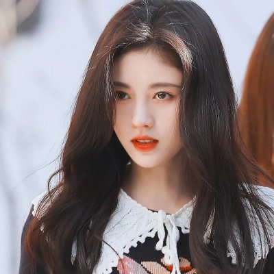 藏獒多吉